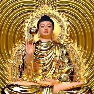 Meet your Posher, Minh